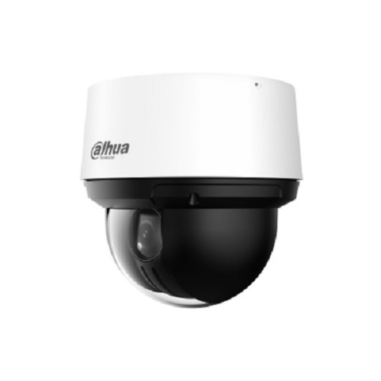 Camera Speed-Dome IP DAHUA DH-SD4A216DB-HNY
